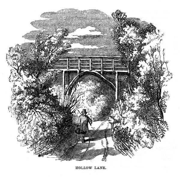Hollow Lane