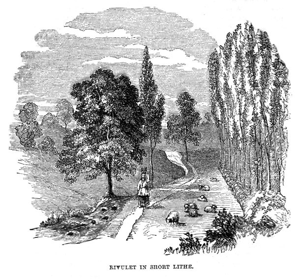 Rivulet in Short Lithe