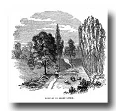 English
              Countryside :: Rivulet in Short Lithe