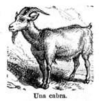 Spanish Clipart - 1