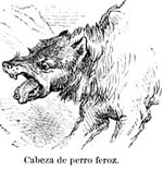Spanish Pictures - 2