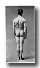 Male Figure Photography - Back View of Male Figure at Attention